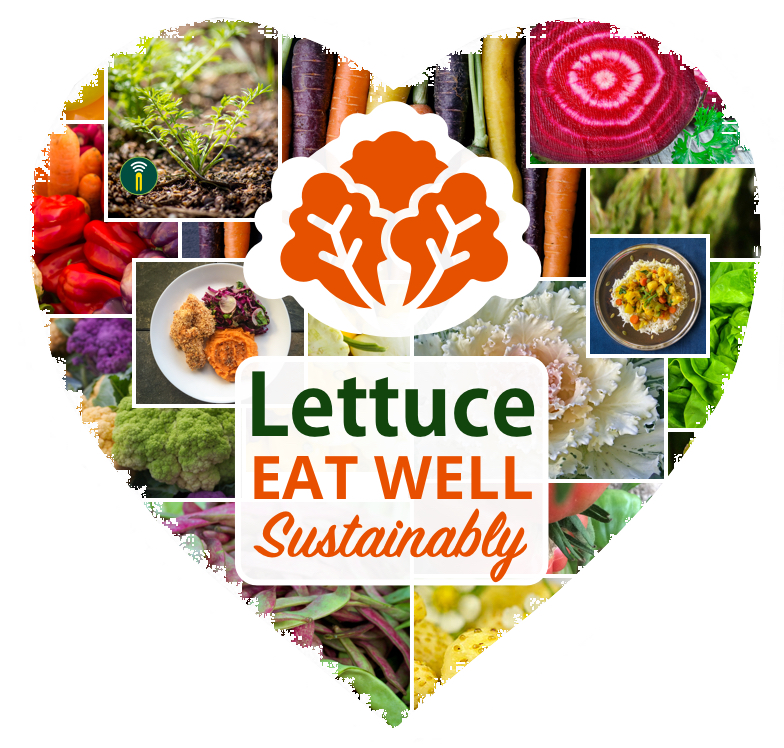 Lettuce Networks  Maker Picture