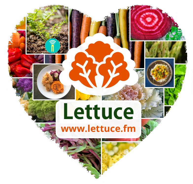 Lettuce Networks: Sustainable Food For All project image